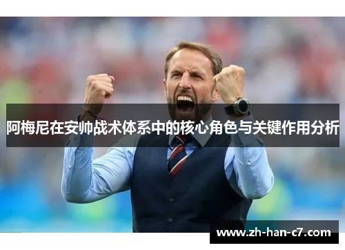 阿梅尼在安帅战术体系中的核心角色与关键作用分析