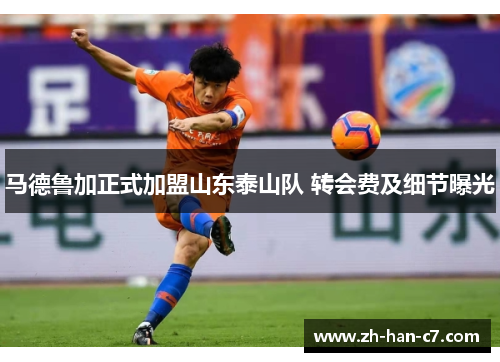 马德鲁加正式加盟山东泰山队 转会费及细节曝光