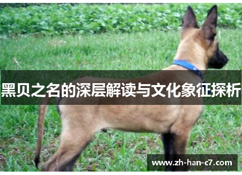 黑贝之名的深层解读与文化象征探析