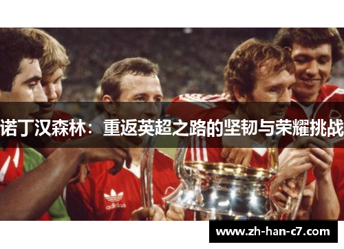 诺丁汉森林:重返英超之路的坚韧与荣耀挑战 诺丁汉森林:重返英超之路的坚韧与荣耀挑战