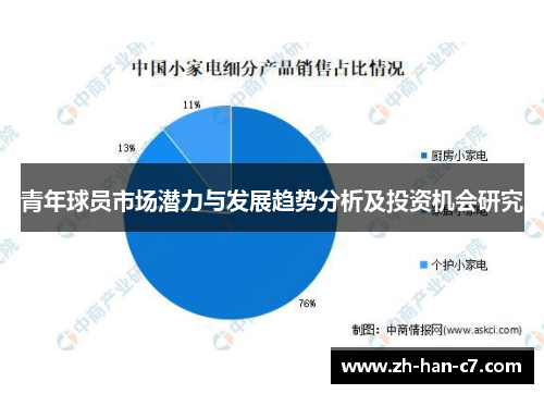 青年球员市场潜力与发展趋势分析及投资机会研究